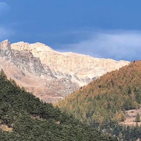 Gran Bosco Camping & Lodge Campsite *
