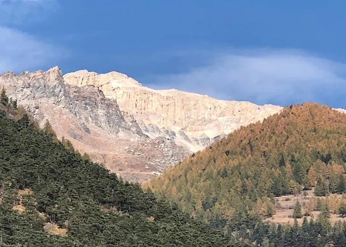 Gran Bosco Camping & Lodge Campsite *