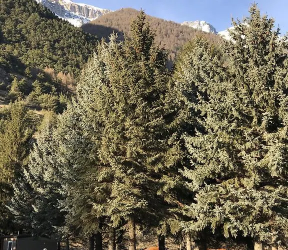 Gran Bosco Camping & Lodge Campsite